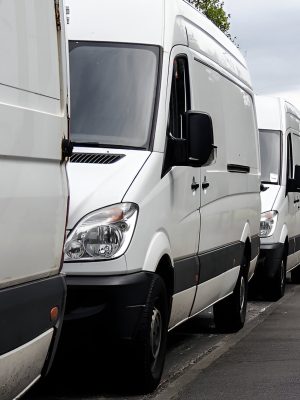 steptodown.com228789